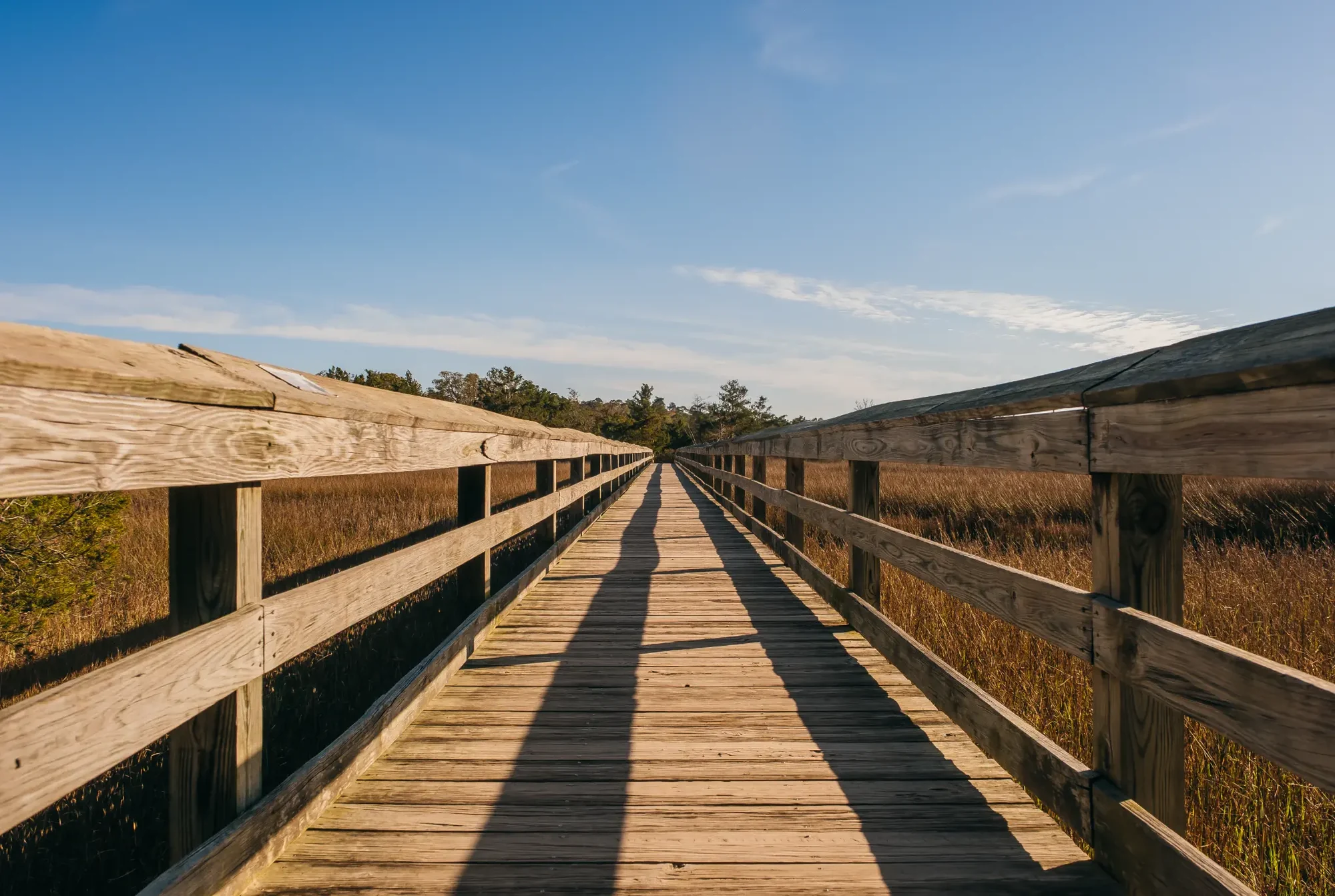 Wooden boardwalk crossing a salt marsh under a clear blue sky