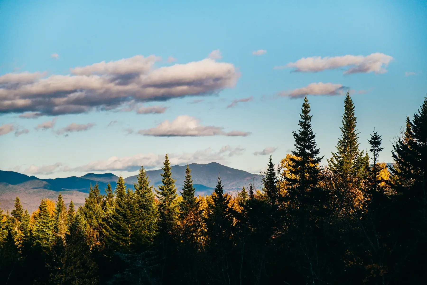 New Hampshire mountain range beyond evergreen trees at golden hour